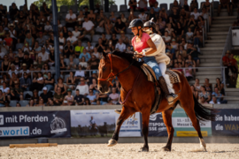 MUSTANG MAKEOVER & LIBERTY CUP – Pro Pferd und europaweit einzigartig