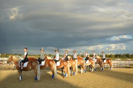 Der Hessische Haflinger Zucht- und Sportverein: Reitsportmesse Gießen – Tradition trifft Moderne!