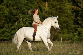 Natürliche Partnerschaft mit Pferden - Freude am Miteinander 