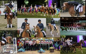 Der Hessische Haflinger Zucht- und Sportverein: Reitsportmesse Gießen – Tradition trifft Moderne!