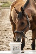 Kräuter mal anders! Mit den NATURANIMA KräuterPELLETS 