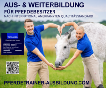 Zertifizierte Pferdetrainerausbildung begeistert Freizeitreiter