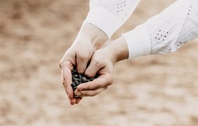 Kräuter mal anders! Mit den NATURANIMA KräuterPELLETS 