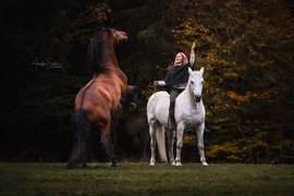 Natürliche Partnerschaft mit Pferden - Freude am Miteinander 