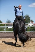 Zertifizierte Pferdetrainerausbildung begeistert Freizeitreiter