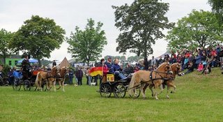 AGH e.V. - Engagement für Haflinger- und Edelbluthaflinger-Zucht und Sport