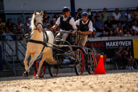 MUSTANG MAKEOVER & LIBERTY CUP – Pro Pferd und europaweit einzigartig